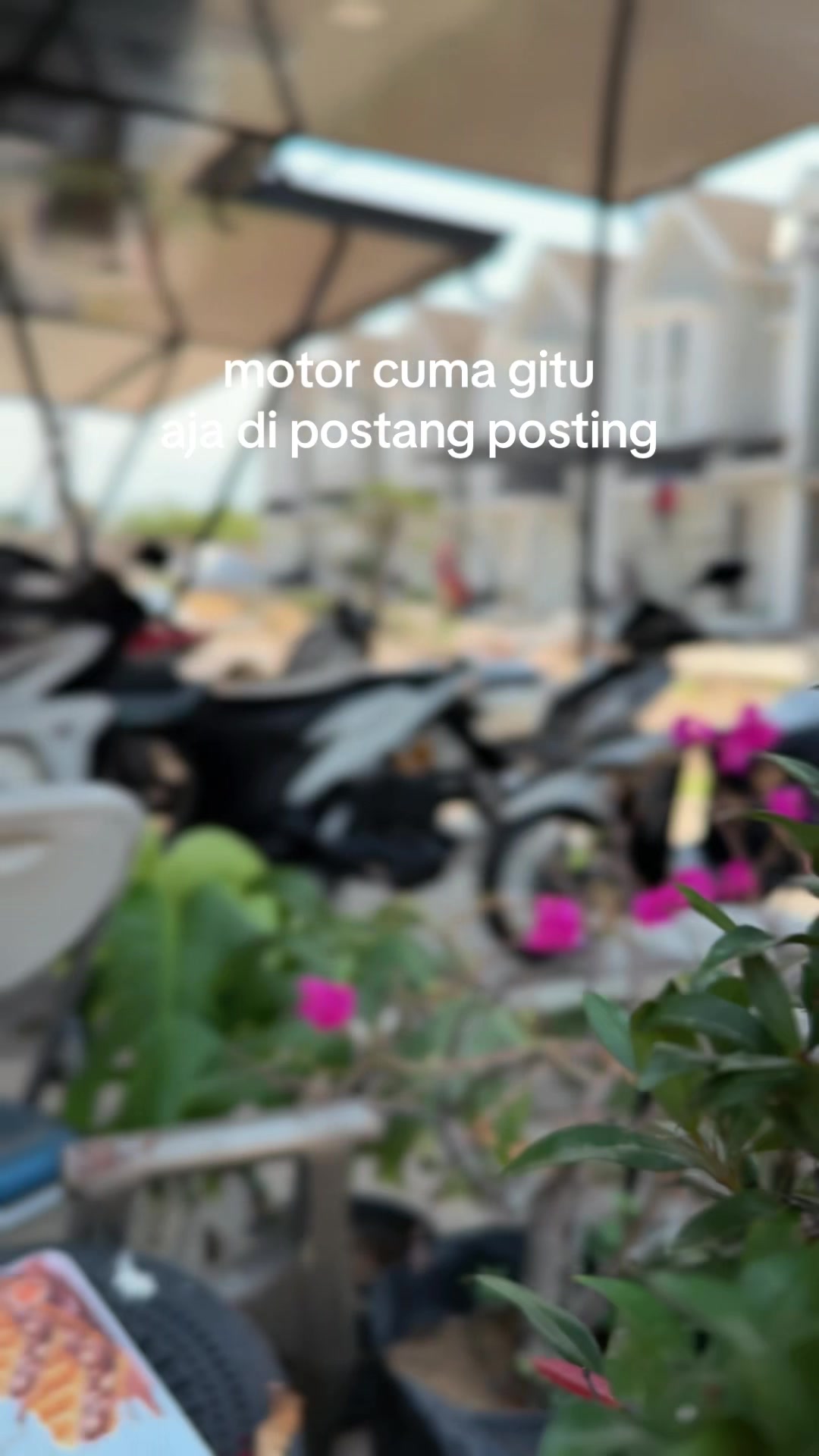 @snauporale