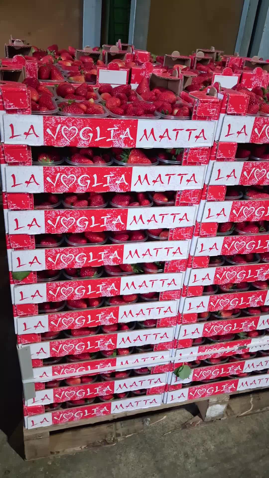 @Costantino Perrotta