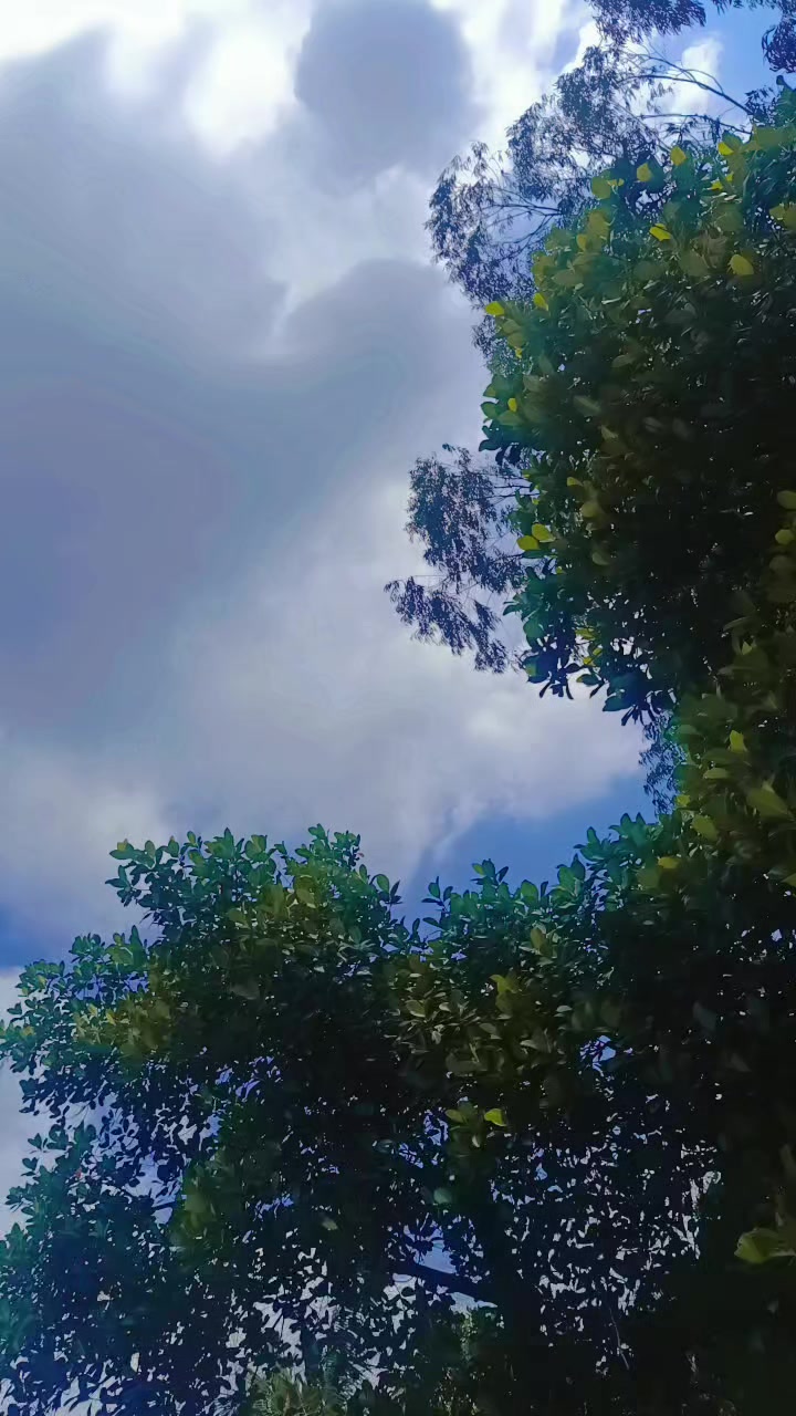 @আকাশের পরি 🌦🌨