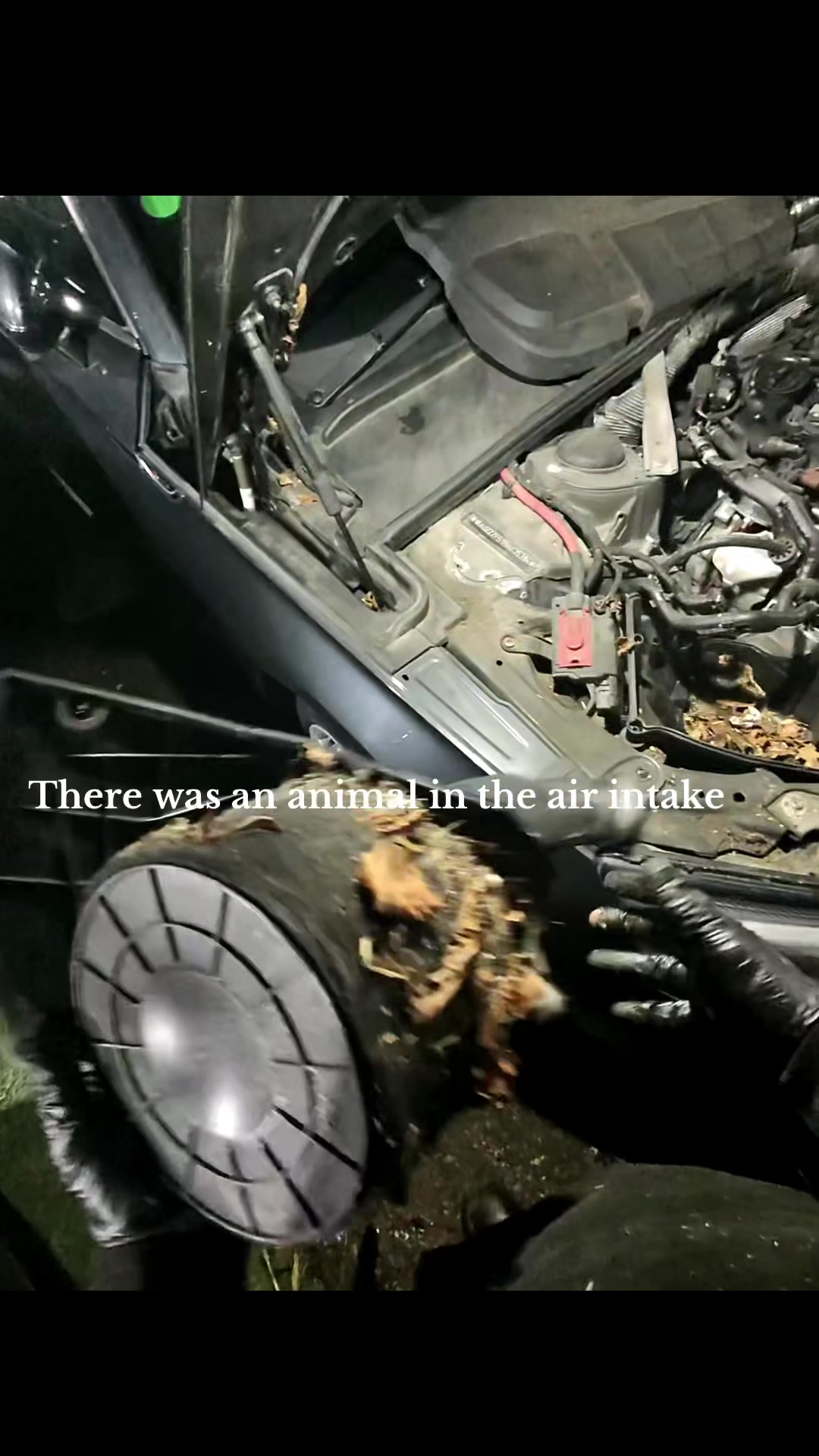 @AL’S AUTOS