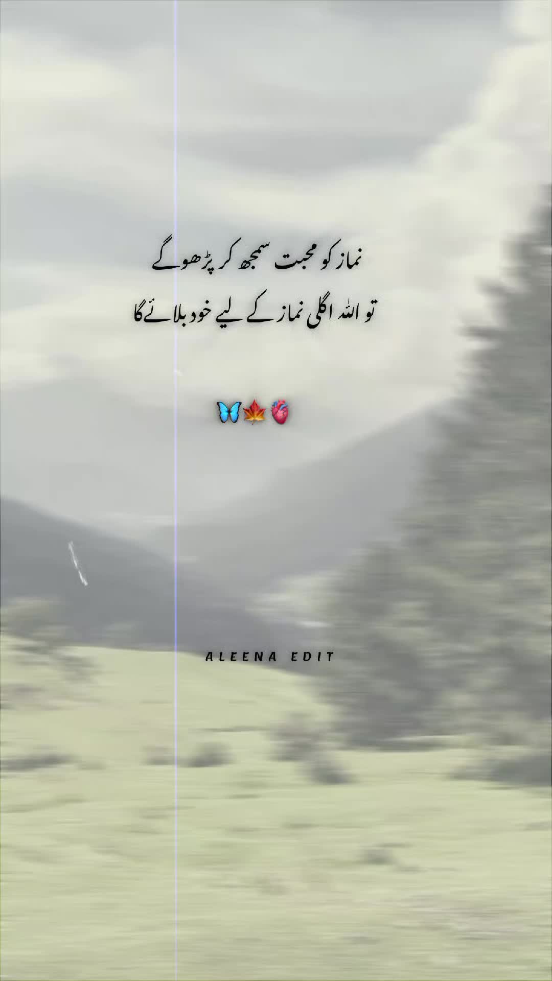 @💫 Islamic Lines 💫