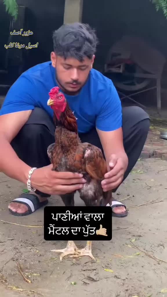 @Harinder Rajput 🇮🇳
