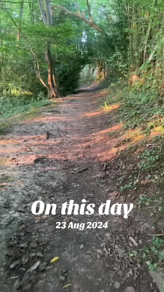 @RosieRiddle