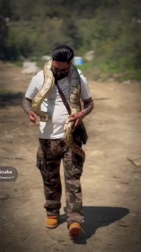 @moneymastana🇮🇳🇵🇹