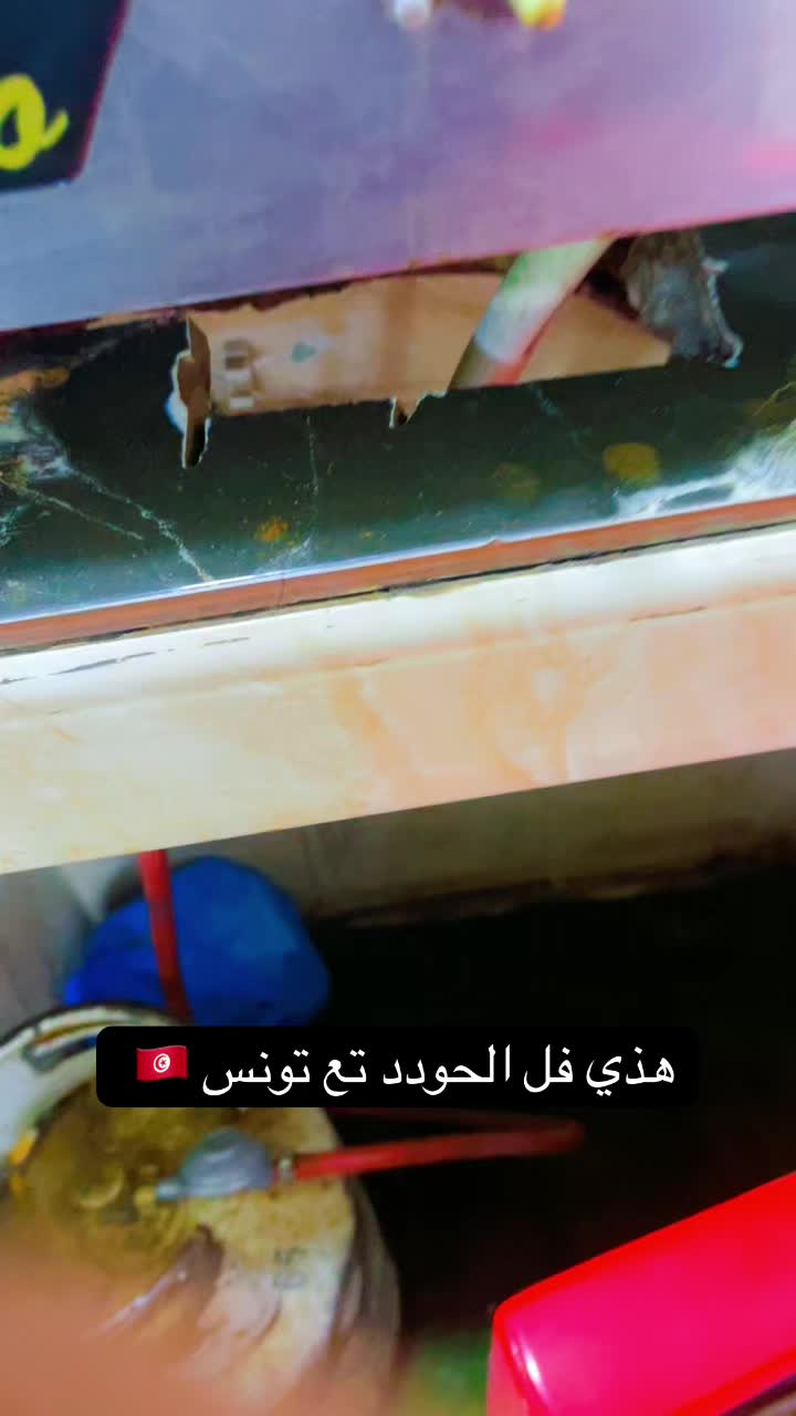 @🇩🇿Mahida🇲🇫MOTIVI