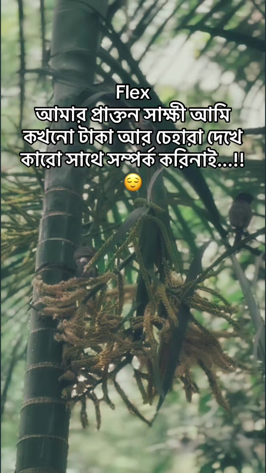 @WHO•?🫧