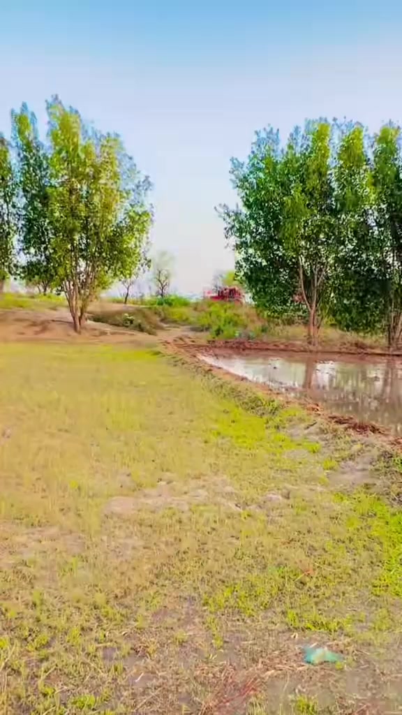 @Sajawal Khan