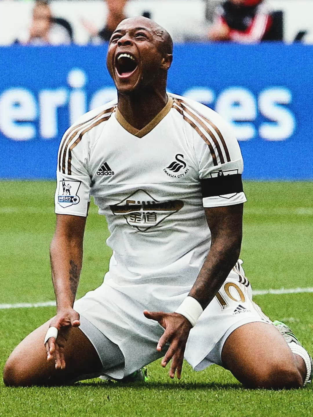 @Swansea City AFC