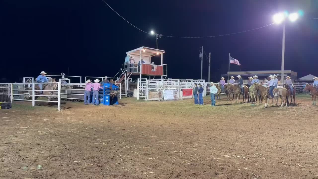 @scottdailyhorsetraining