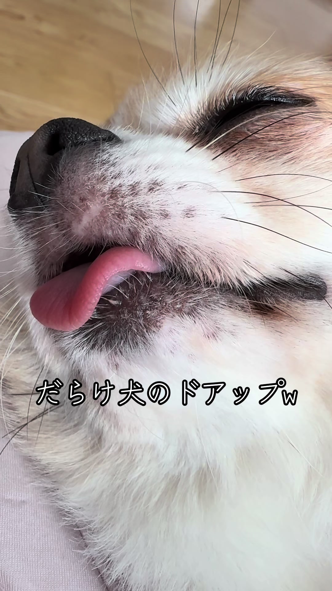 @心太