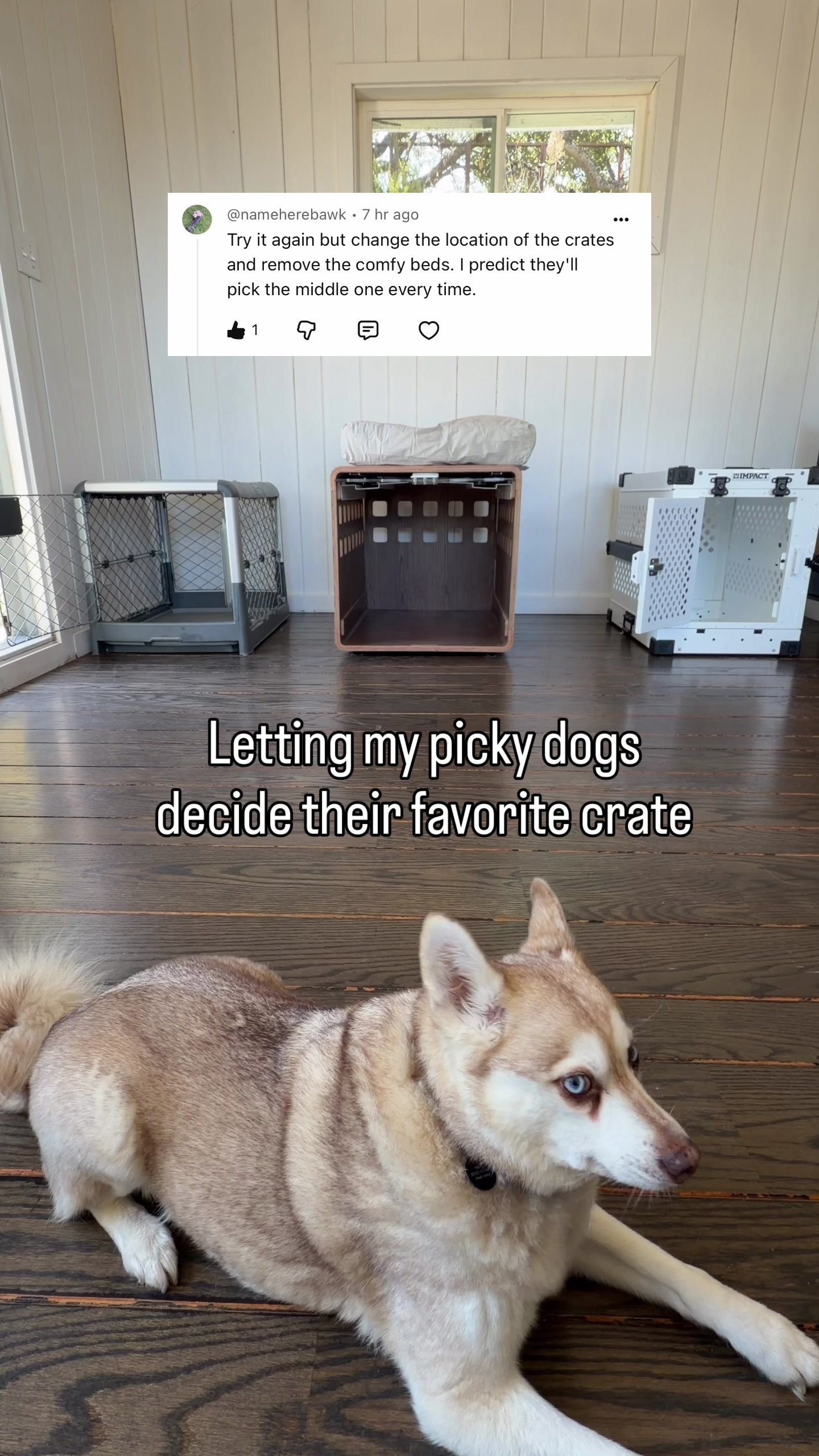 @lifewithkleekai