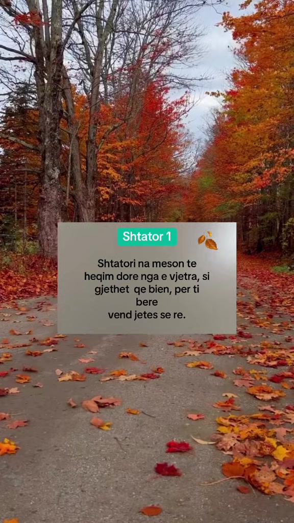 @Thenje Per Jeten🥀