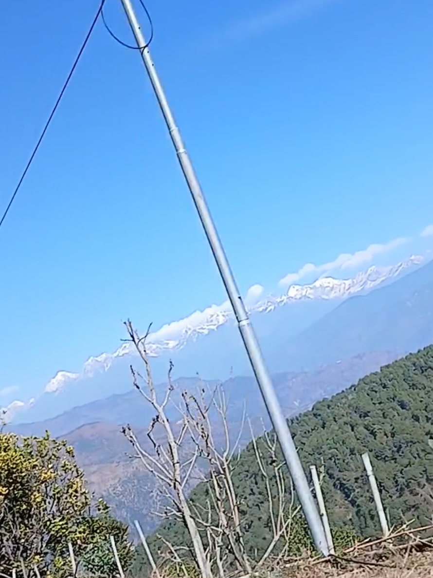 @Sajana Rai🙏