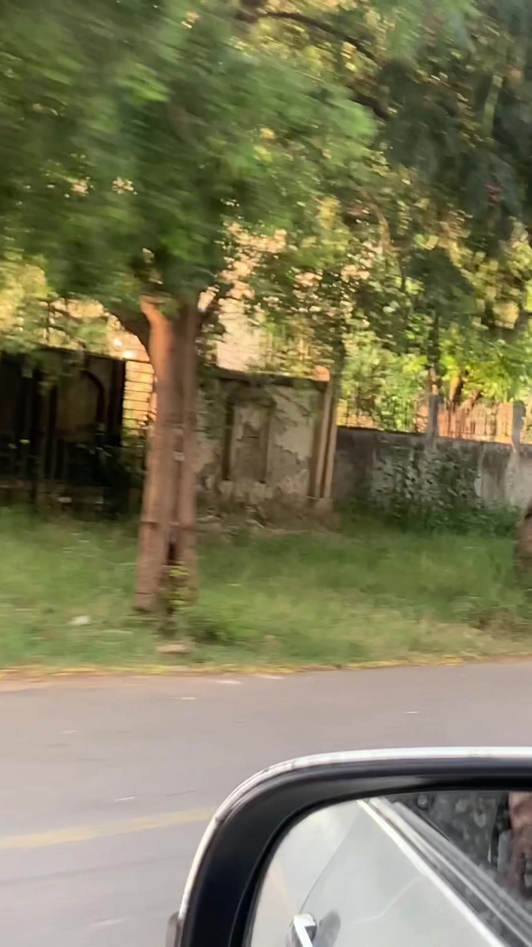 @ZAIB