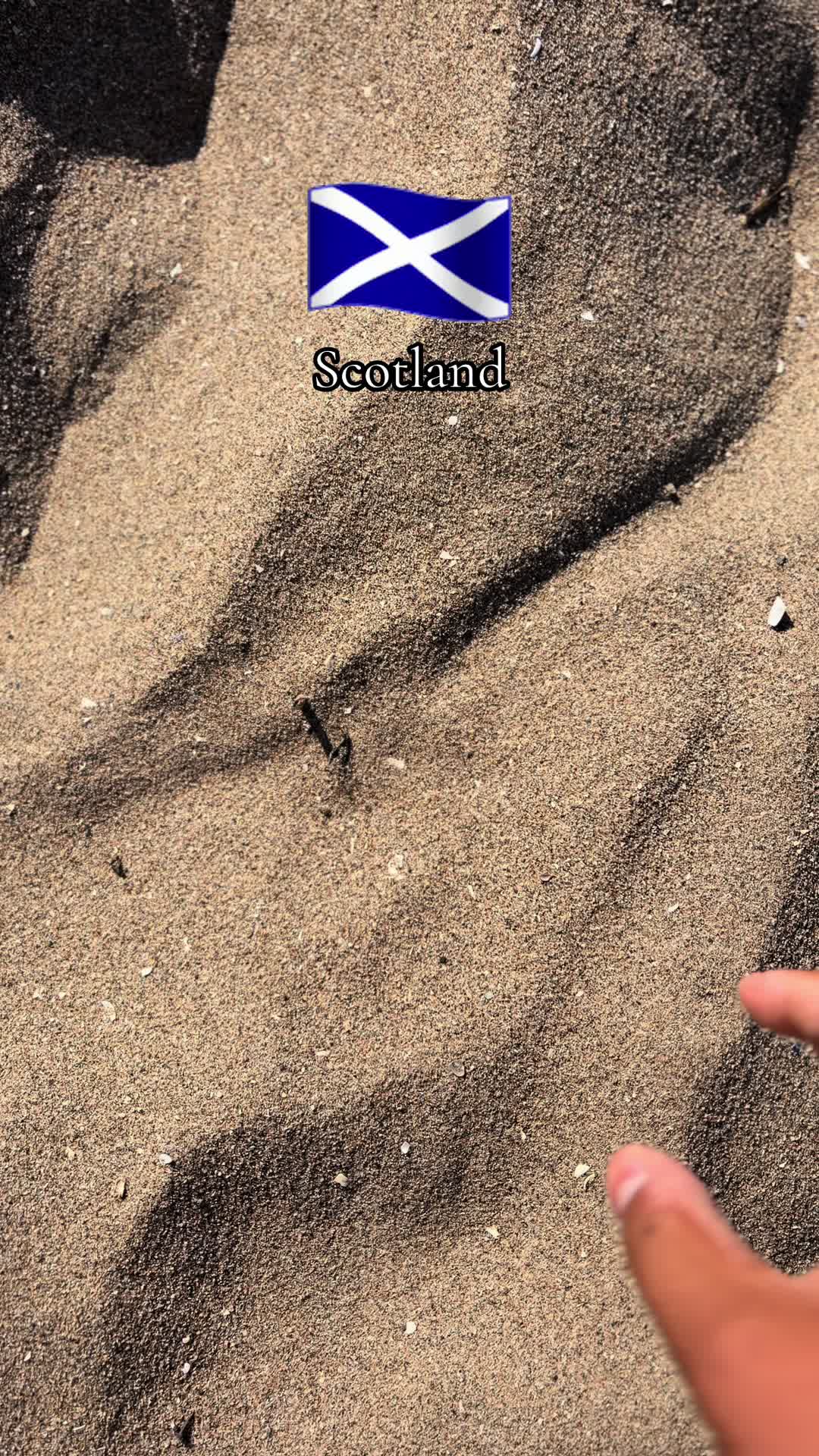 @👑 ʏᴀɴɪꜱ ᴋɪɴɢ 👑