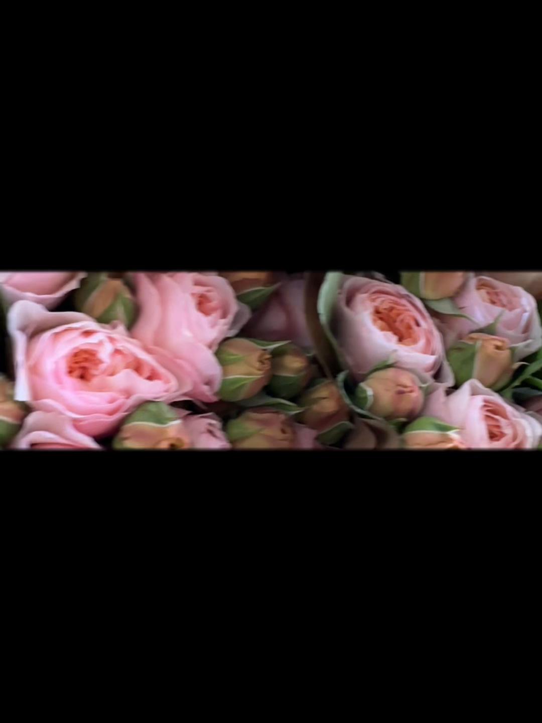 @Casconefiori