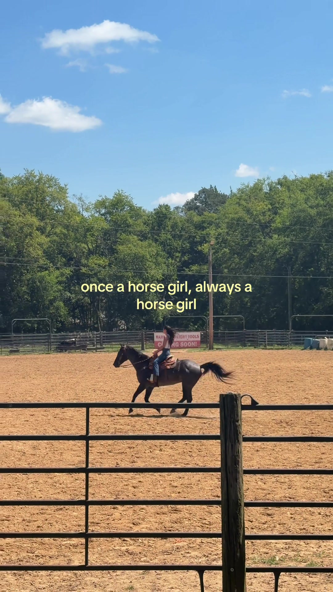@zoe ferguson ✮⋆˙