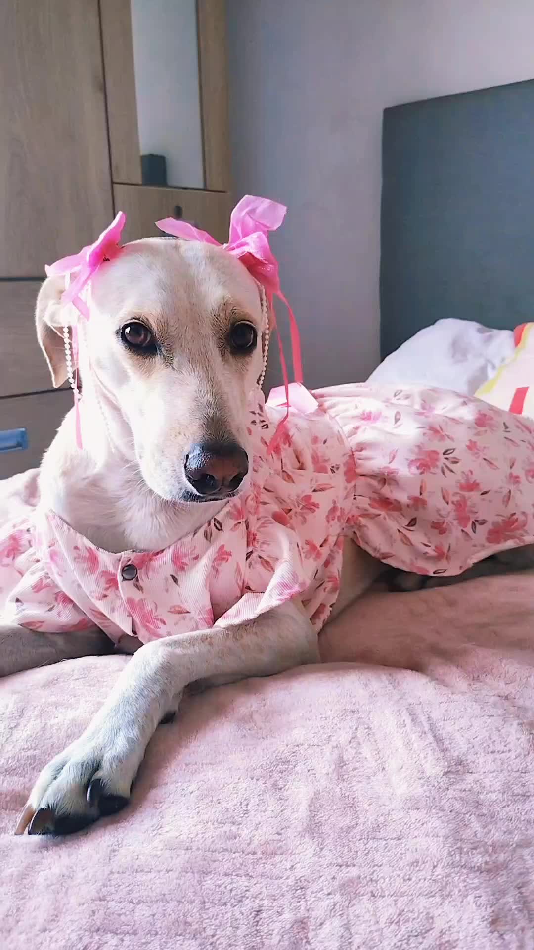 @winnie ❤🦮