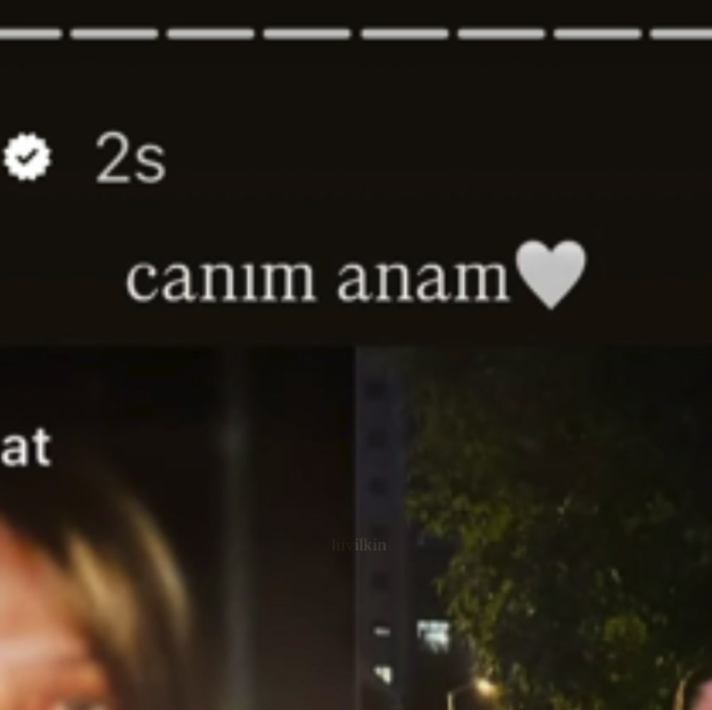 @luvilkin