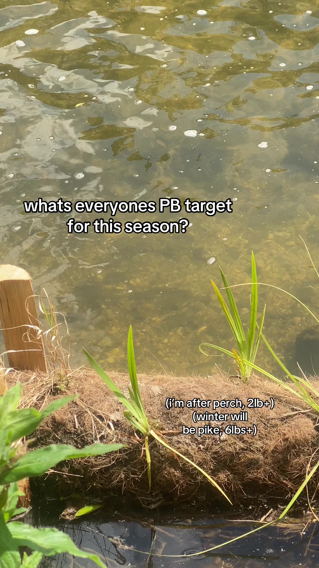 @🎣