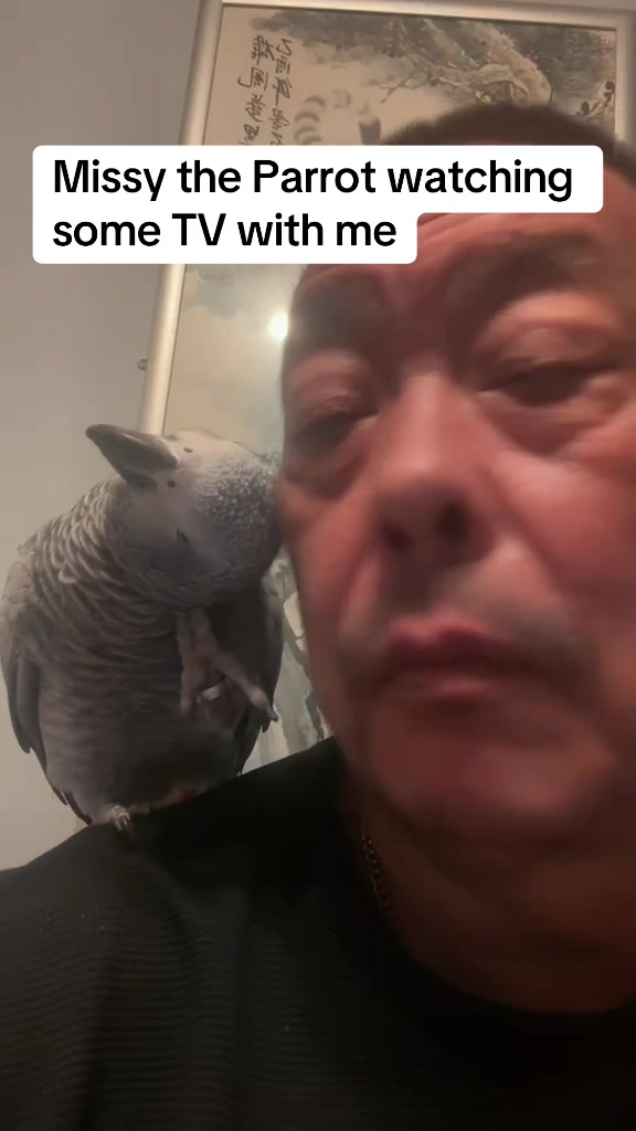 @Norman and Missy the Parrot