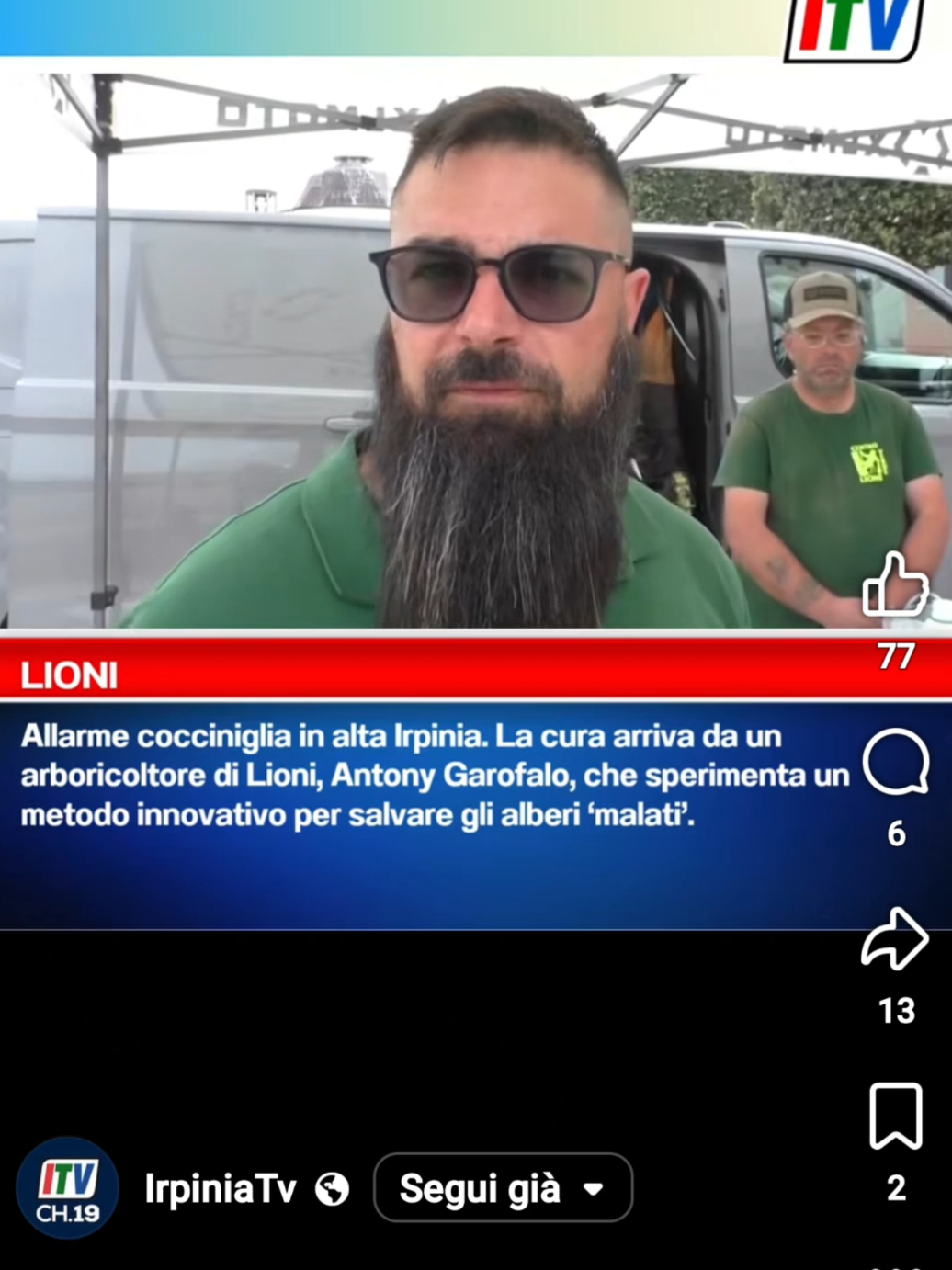 @#CENTROVERDELIONI