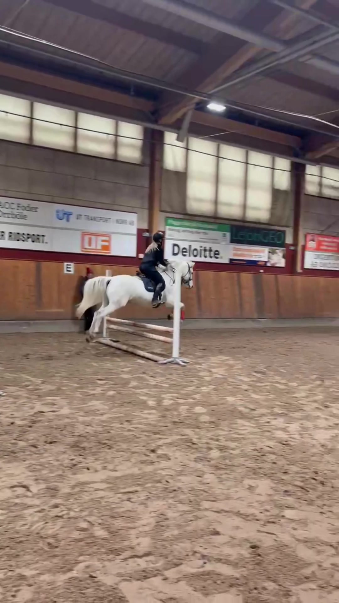 @Alice å Jack🌟