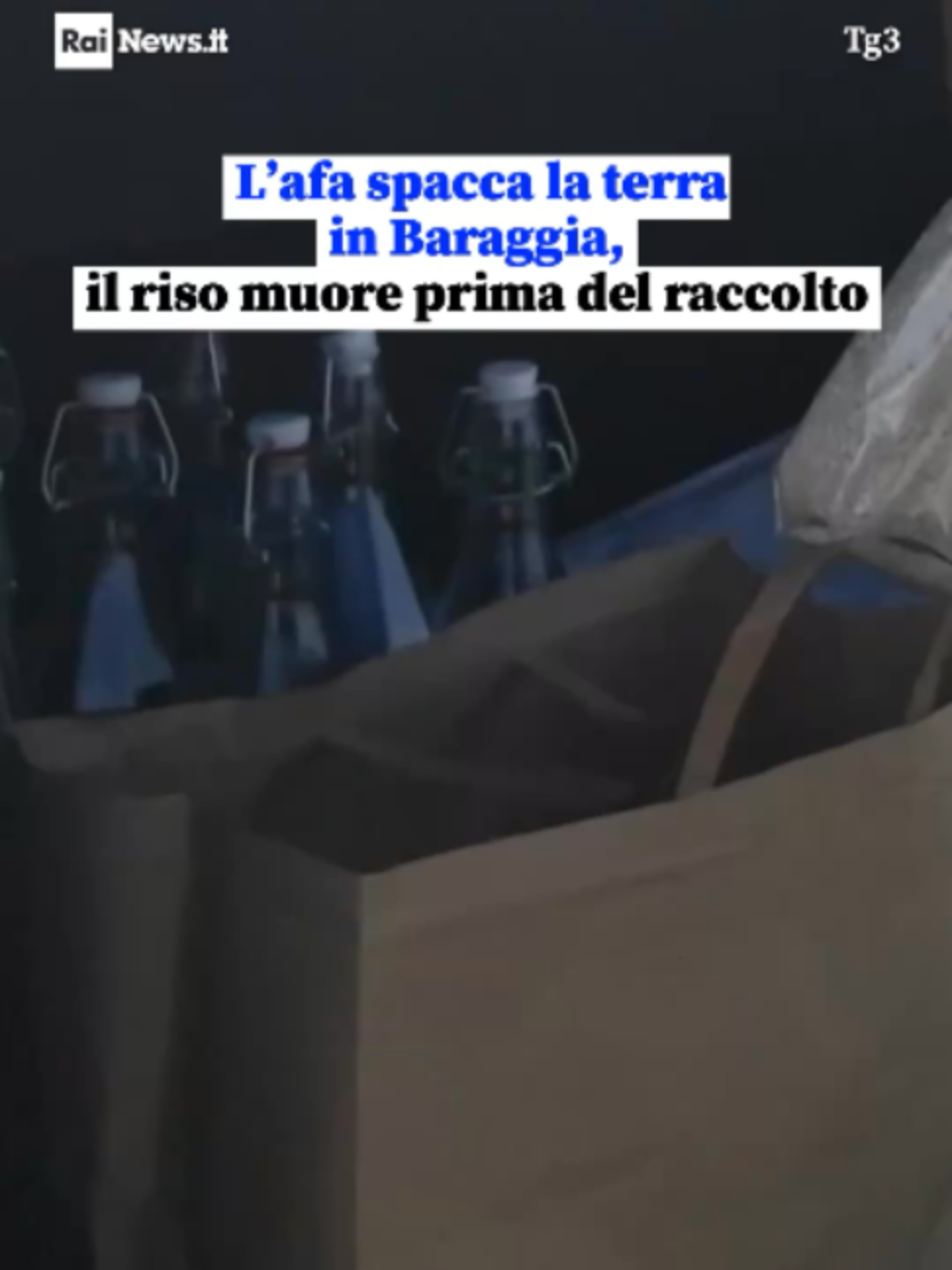 @RaiNews