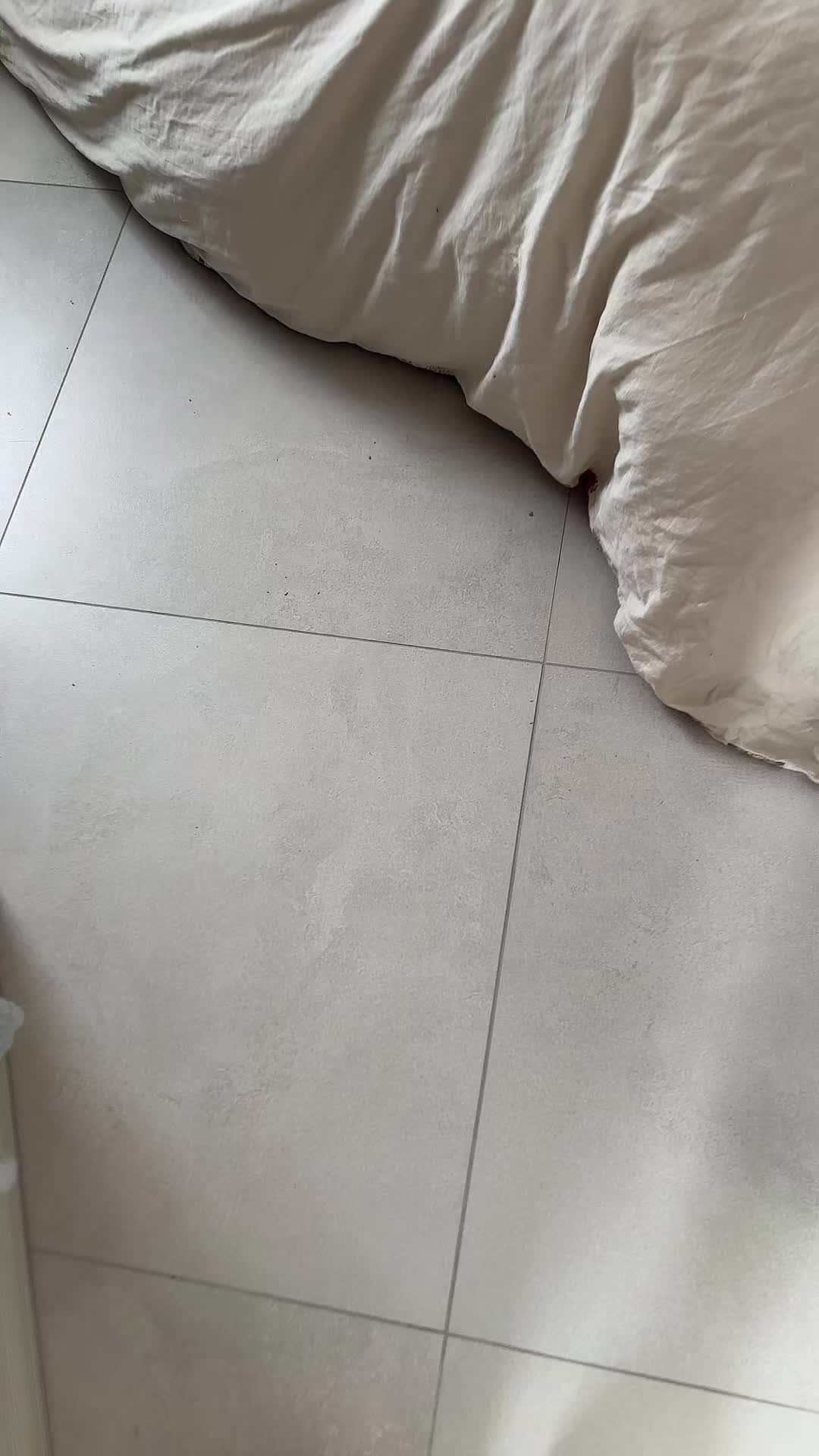 @Giorgia Valicella