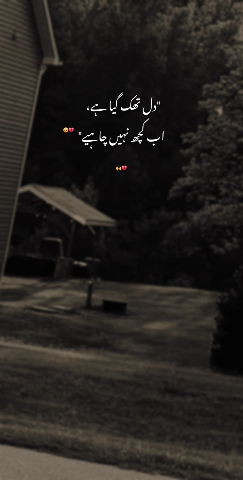@𝘼𝙮𝙖𝙣♠