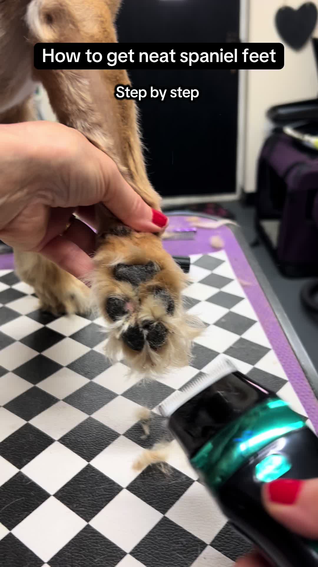 @Poochiepoosdoggrooming