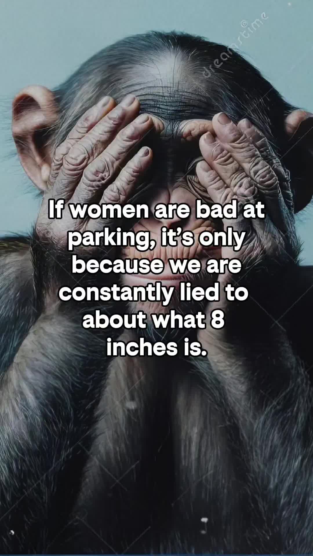 @dawnie