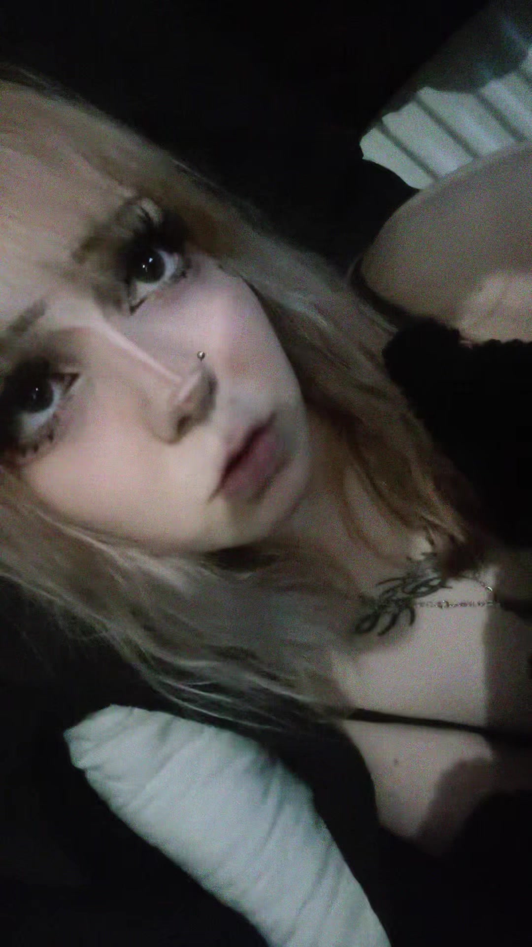 @s.kitty.1
