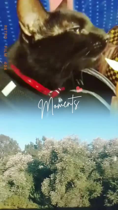@🇲🇦👑𝓙𝓲𝓗𝓪𝓝𝓮 👑🇪🇸