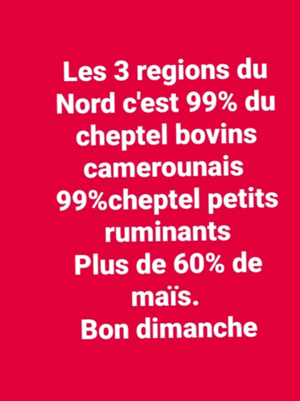 @🇨🇲237 Développe Innove🇨🇲