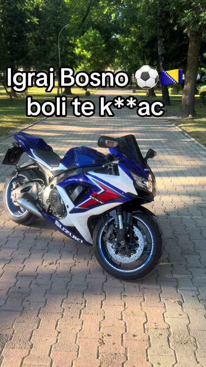 @Young Rider
