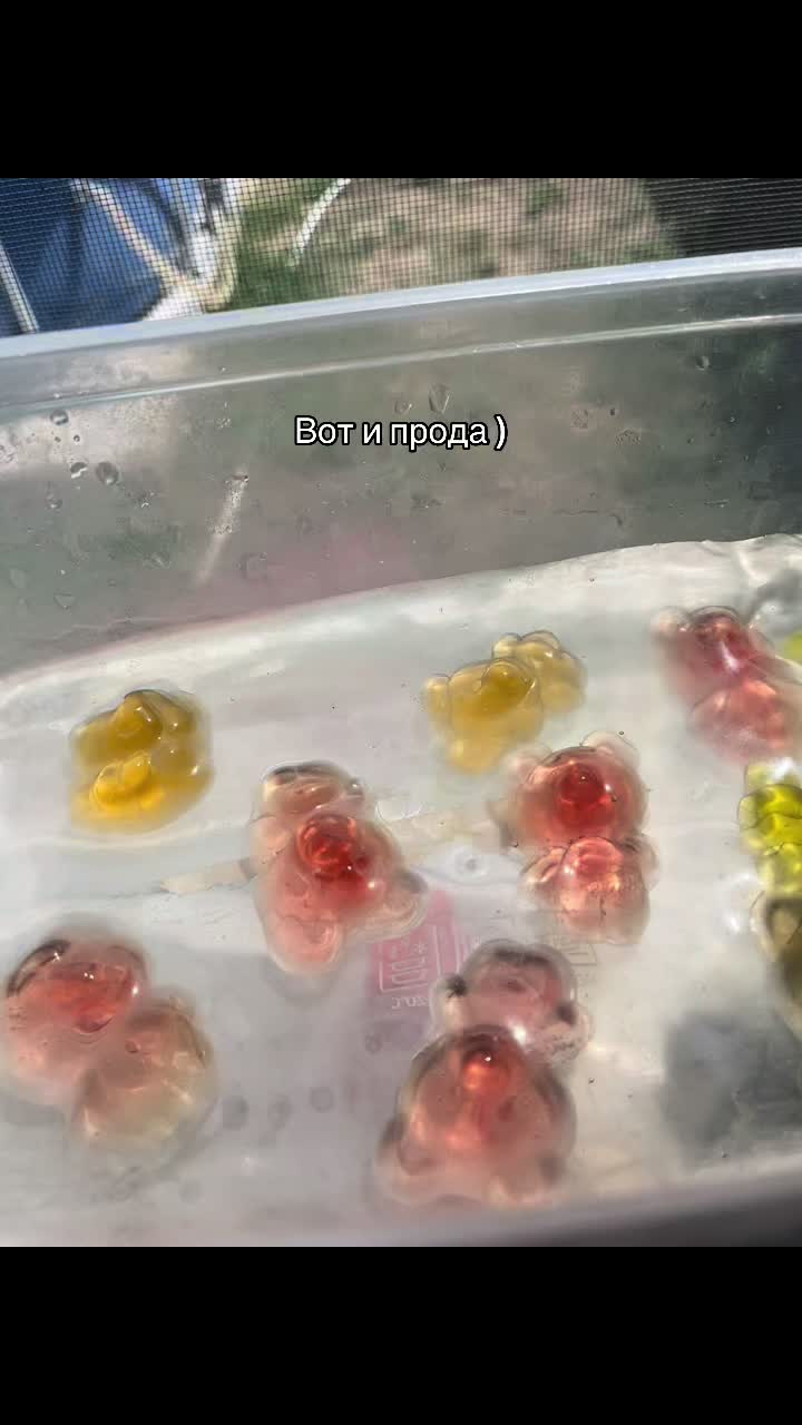 @котость