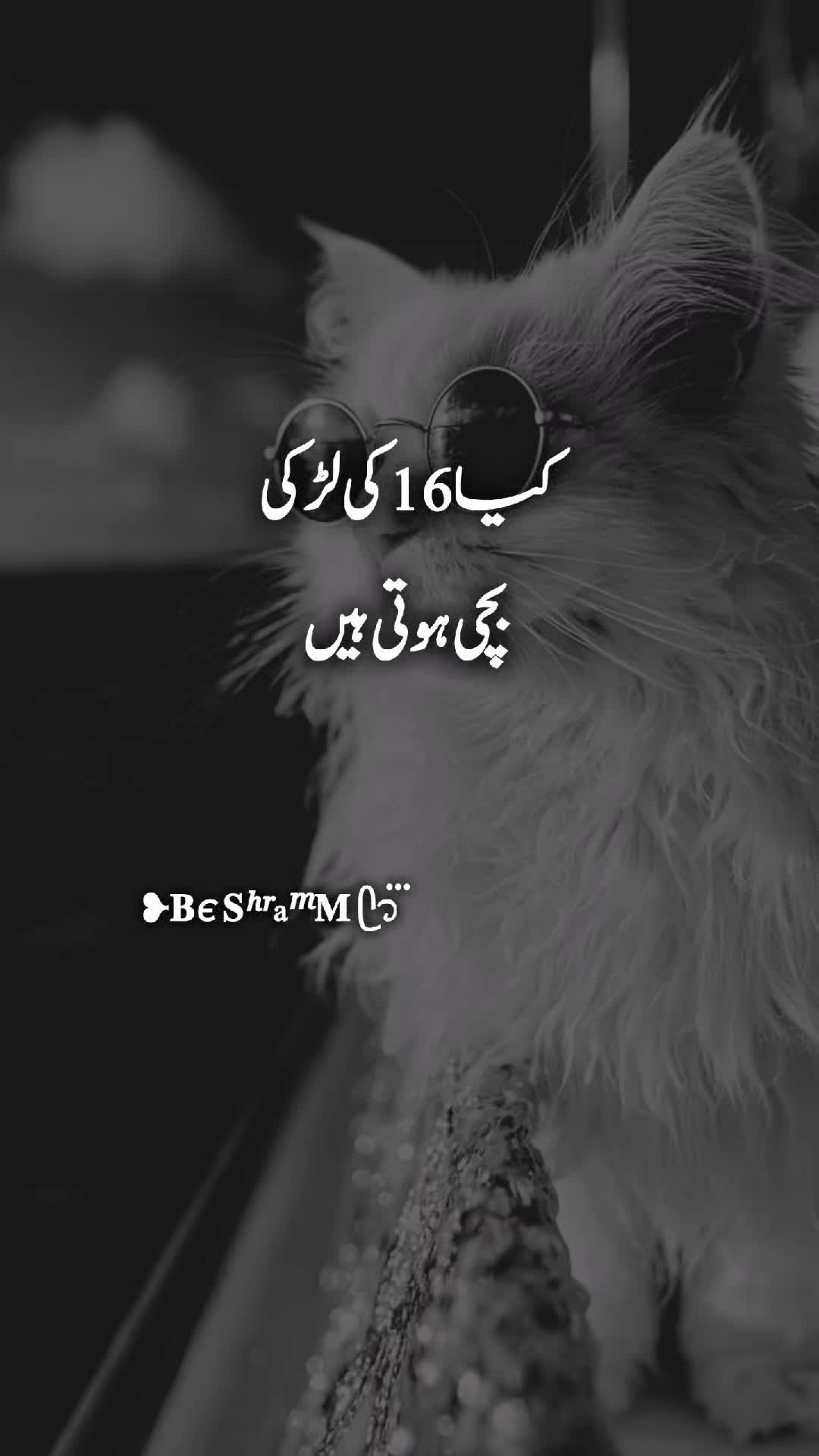 @❥𝐁є 𝐒ʰʳaᵐ𝐌 ᥫ᭡፝֟፝֟