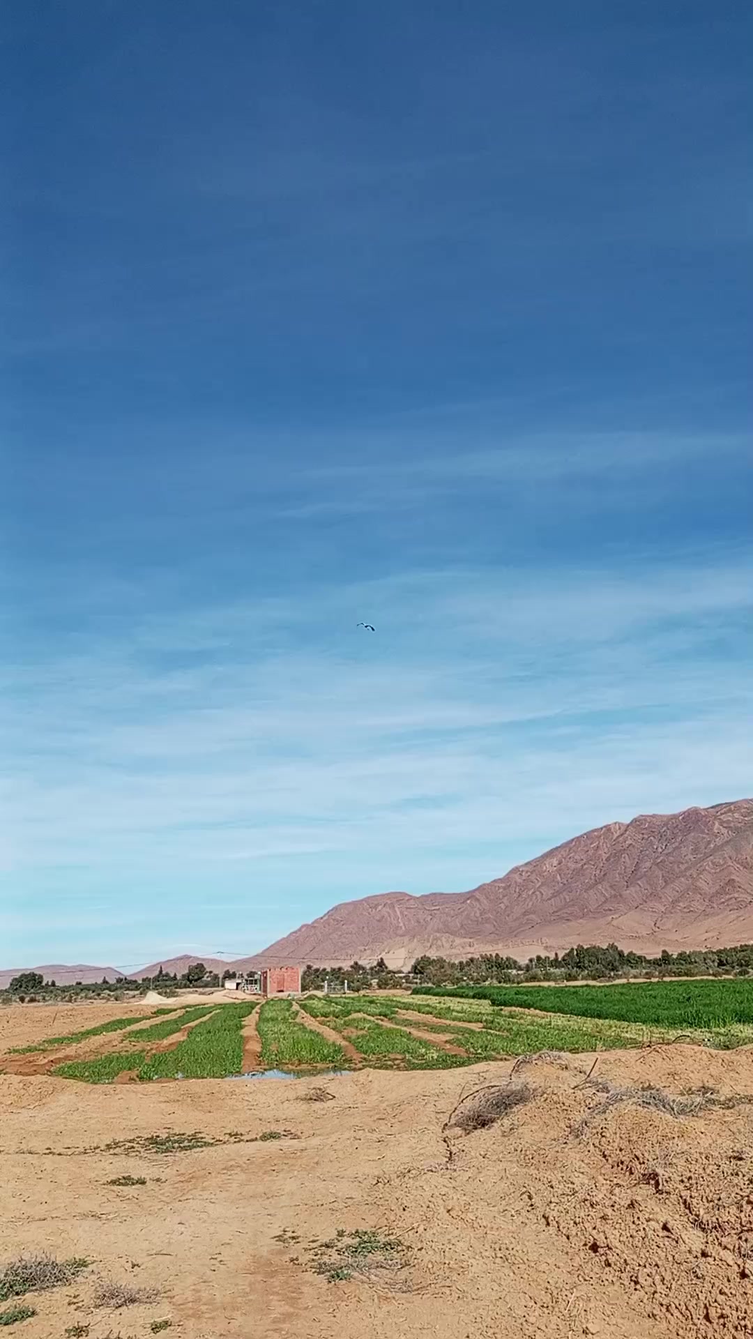 @اسماعيل خليل