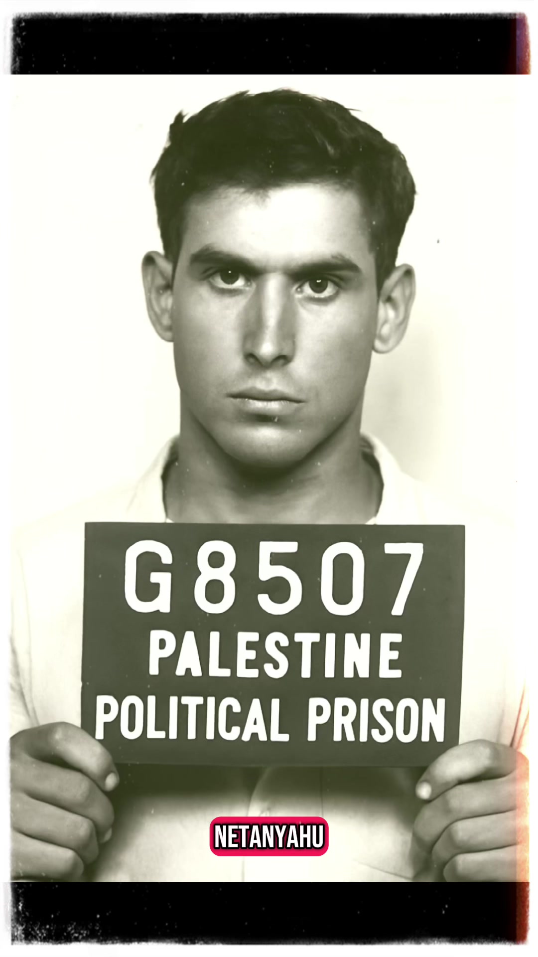 @๐๏ธ๐ต๐ธ Free Palestine ๐ต๐ธ๐๏ธ
