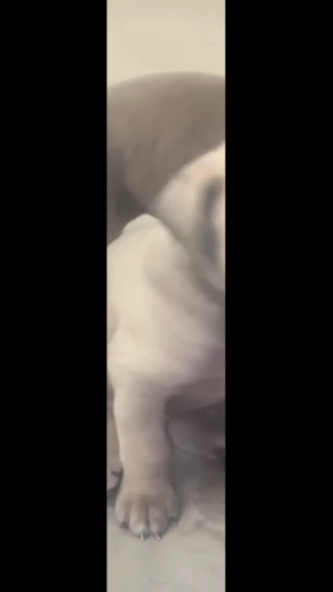 @rsg_818