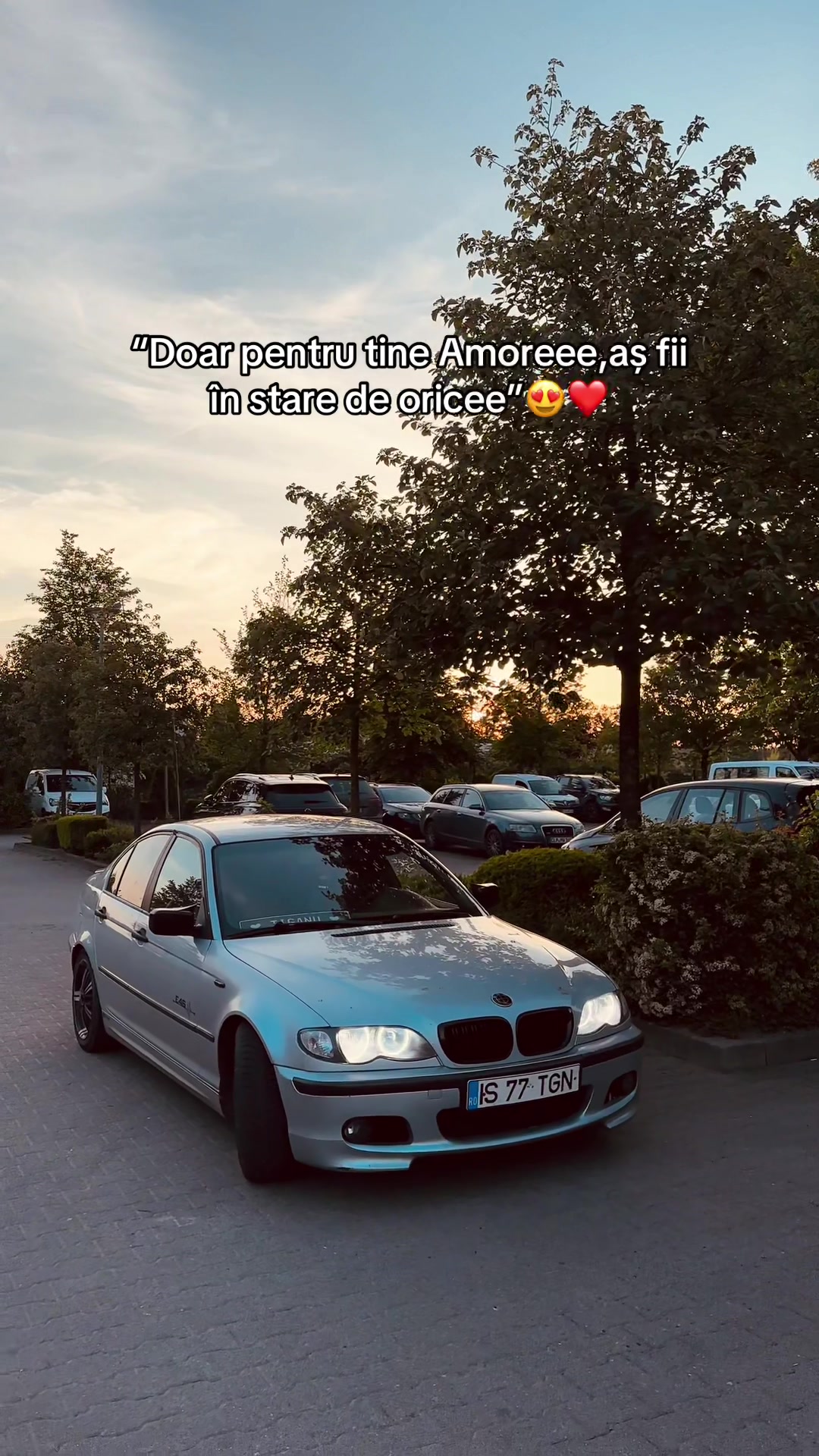 @77 TGN🦅