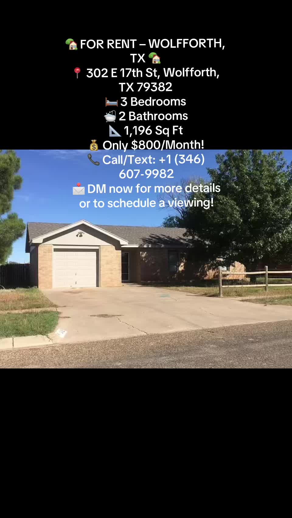 @lowbudget house rent