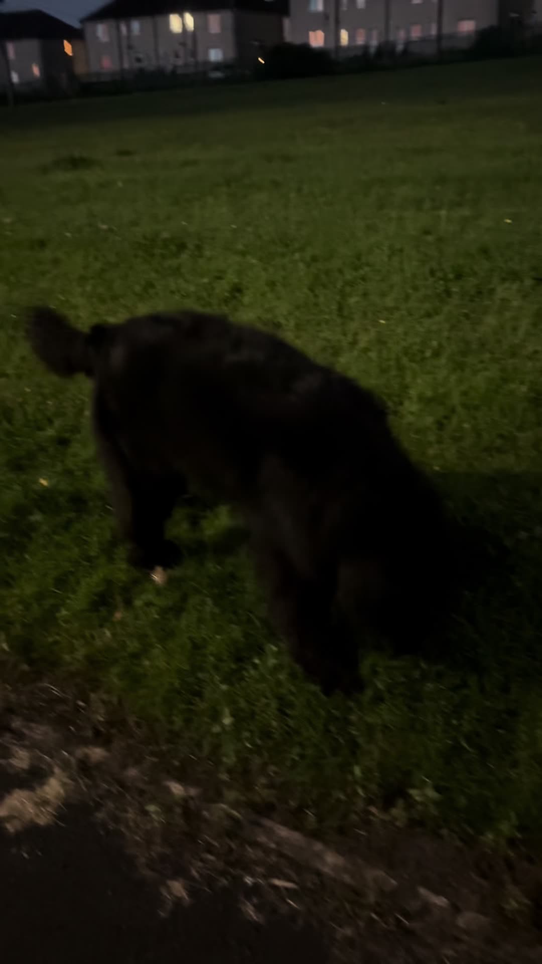 @Pablopoppypiperpoodle