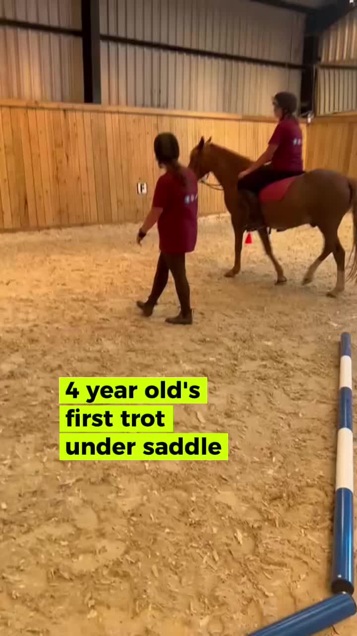 @The Novice Rider