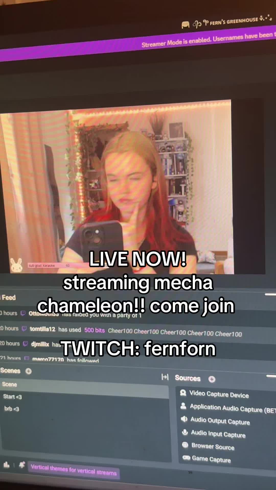 @Fern <3 streamer 😝