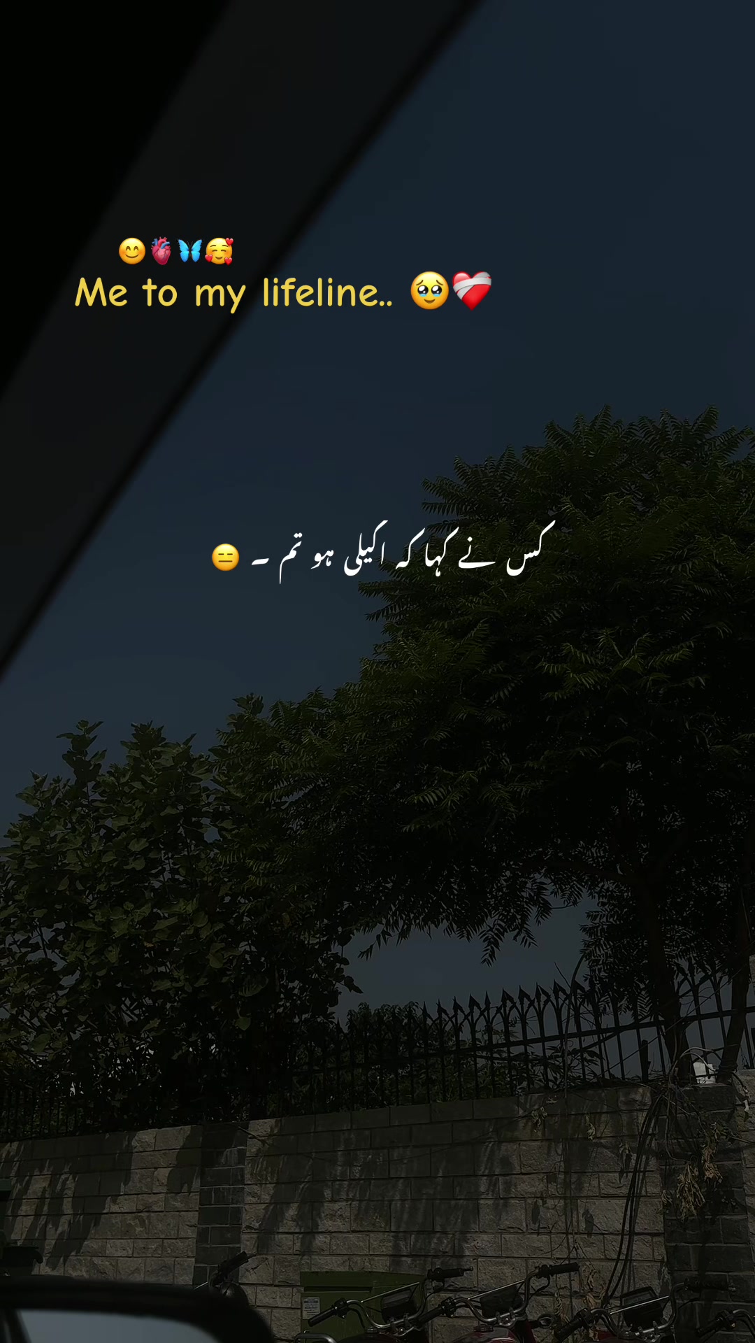 @𝘼𝙨𝙝𝙠-𝙚-𝘿𝙞𝙡 ❤️🩹🥀