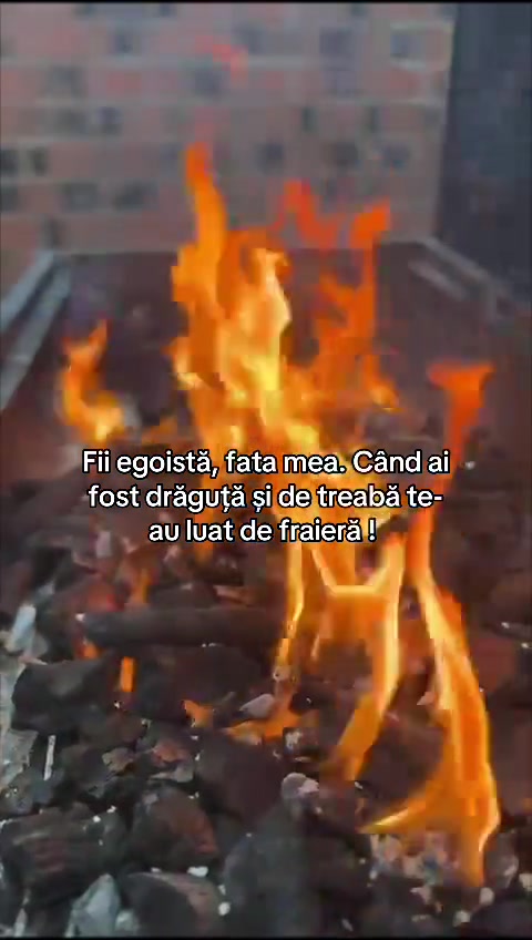 @Andreea Toldea
