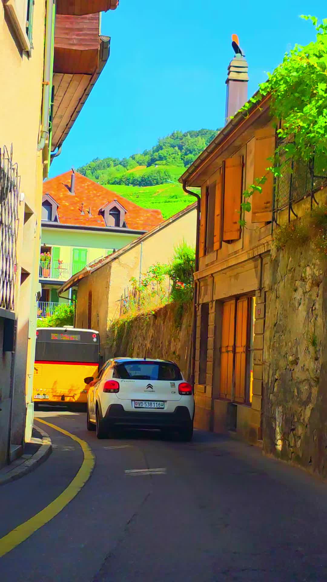@🇨🇭flores Sérgio 🇵🇹