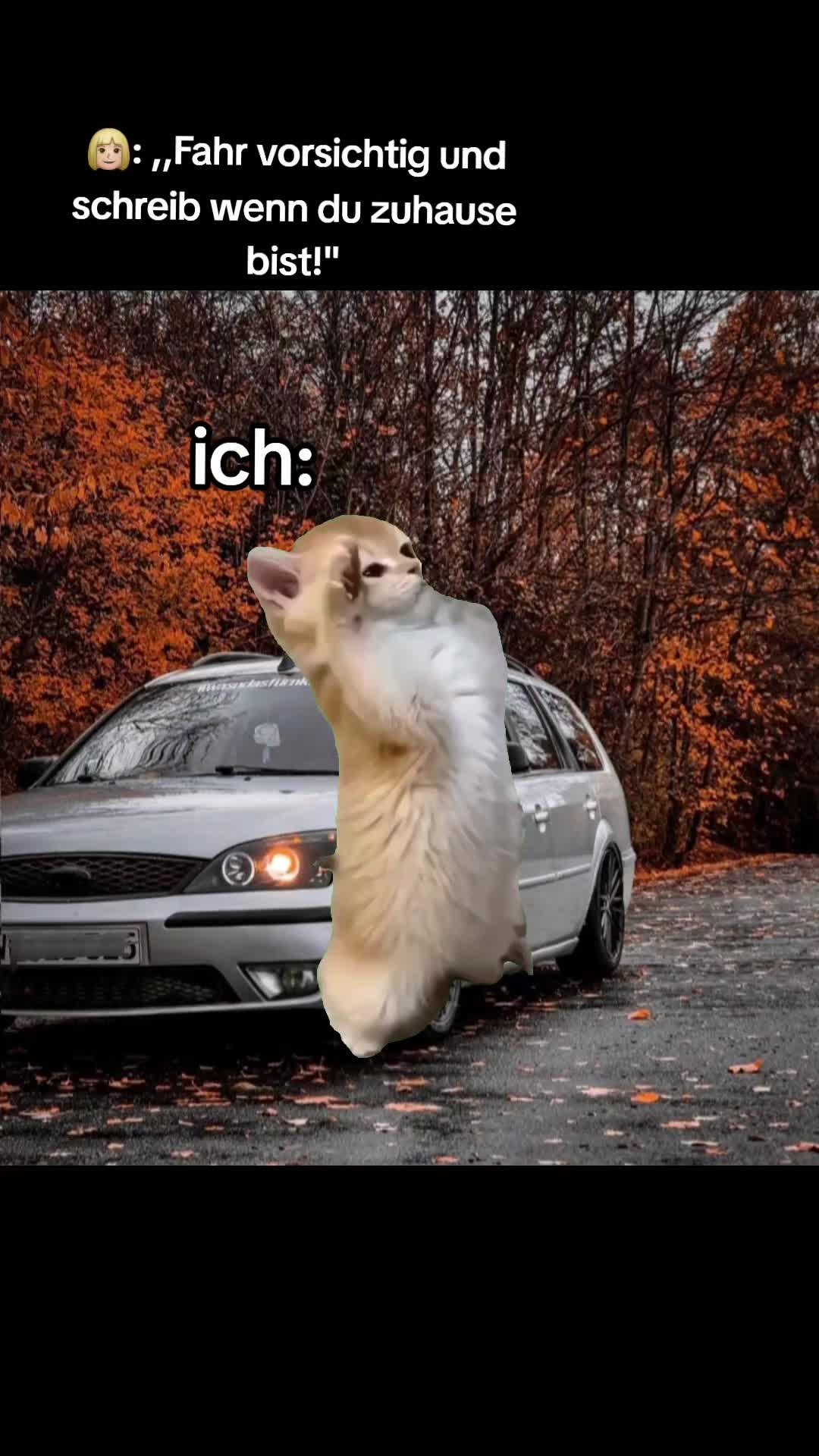 @Ꝉҽօղ